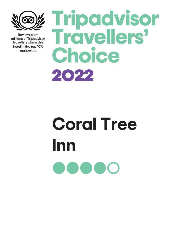 Coral Tree Inn Кэрнс Экстерьер фото